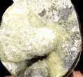 Septarian Dragon Egg Geode - Yellow Calcite #37298-2